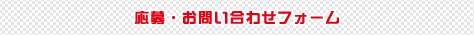 応募・お問い合わせフォーム